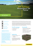 RTF TURF TALL FESCUE (PER KG)