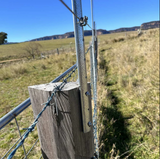 PICKEX POLE STAR 600 - PPS600