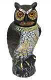 BOBBLE HEAD OWL