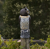 BOBBLE HEAD OWL