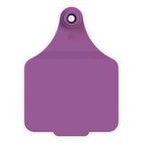 EAR TAG MAXI