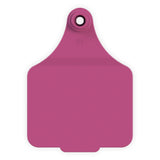 EAR TAG MAXI