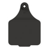 EAR TAG MAXI