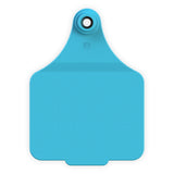 EAR TAG MAXI