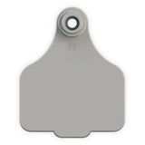 EAR TAG LARGE