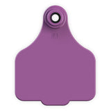 EAR TAG LARGE