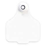 EAR TAG LARGE