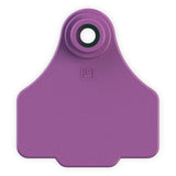 EAR TAG SMALL