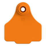 EAR TAG SMALL