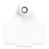 EAR TAG SMALL