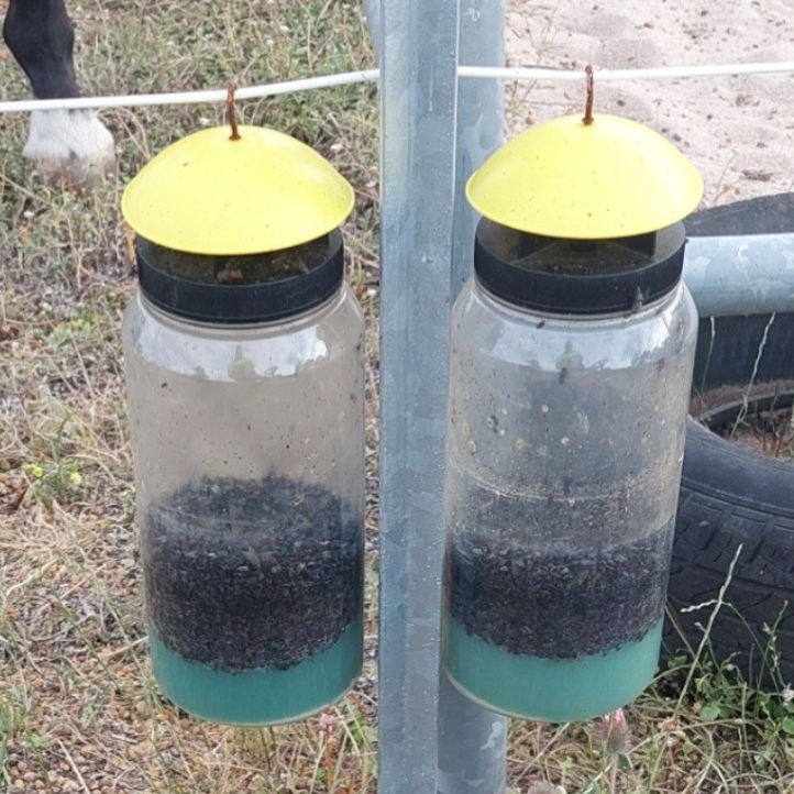 Flies, love them or hate them (who are we kidding...) do we have the Fly Trap for you!