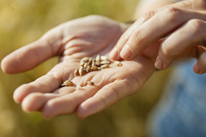 SEEDS, PASTURES & FERTILISERS