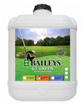 BAILEYS GT GREEN 20L