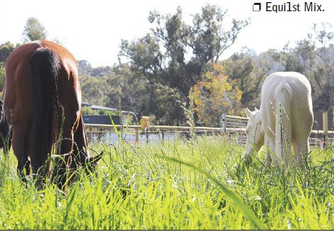 EQUI1ST MIX P/KG