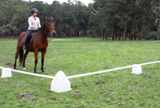PORTABLE DRESSAGE ARENA [Sz:20 X 40]