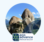 ECO-PASTURE AUTUMN [Sz:20 KGS]