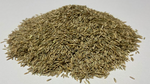 PINNACLE III PERENNIAL RYEGRASS P/KG