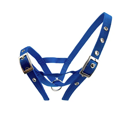 CATTLE HALTER BULL - [Cl:BLUE]