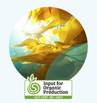 LIQUID KELP 20L