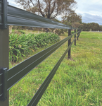 TITAN RAIL [Sz:100 METRE SZ:BLACK]
