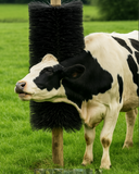 COW SCRATCHER BRUSH SM