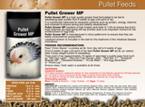 LAUCKE MILLS PULLET GROWER MP 20KG