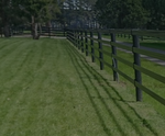 STALLION RAIL EXTREME 4" [Sz:100M SZ:BLACK]