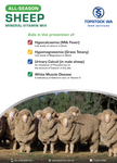 TOPSTOCK ALL SEASONS SHEEP MINERAL MIX 