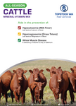 TOPSTOCK ALL SEASONS CATTLE MINERAL MIX