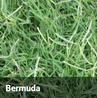 GIANT BERMUDA COUCH P/KG