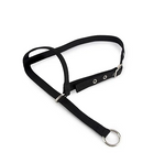 CATTLE HALTER LEADING CALF - [Cl:BLACK]