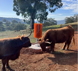 CATTLE SCRATCH BRUSH - TOTEM (BASE ANCHOR KIT SOLD SEPARATELY)