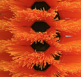 CATTLE SCRATCH BRUSH - TOTEM (BASE ANCHOR KIT SOLD SEPARATELY)