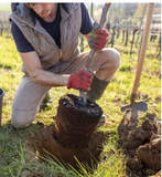 BAILEYS TREE PLANTING MIX 25L