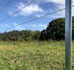 STOCKPOST GALV  (5'6) [Sz:165 CM]