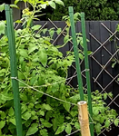 GARDEN STAKE GREEN 11X1500MM