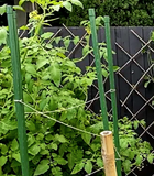 GARDEN STAKE GREEN 11X1500MM