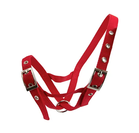 CATTLE HALTER BULL - [Cl:RED]