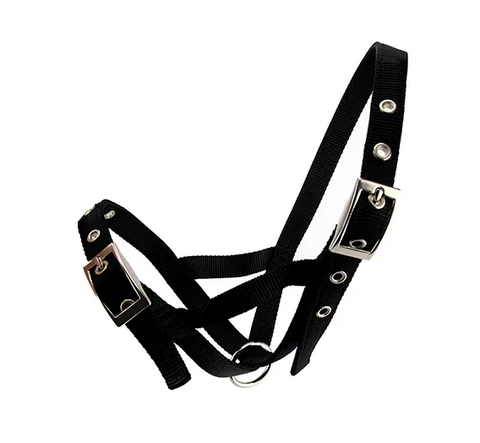 CATTLE HALTER WEBBING COW - BLACK