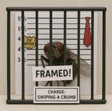 FLY TRAP BOTTLE WITH ATTACHMENT