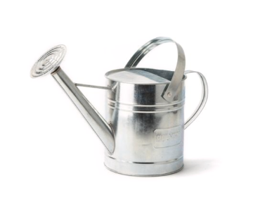 9L GALV WATERING CAN WITH ROSE