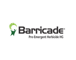 BARRICADE 250MM