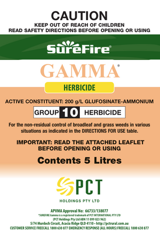 GAMMA [Sz:5 LT]