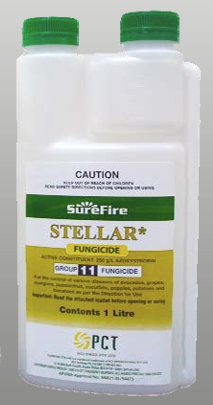STELLAR FUNGICIDE [Sz:1 LT]