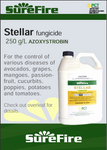 STELLAR FUNGICIDE [Sz:1 LT]