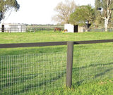 10/90/5 FASTLOCK HORSEFENCE [Sz:50 M]