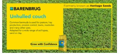 UNHULLED COUCH