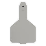 CALF TAG