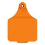 EAR TAG MAXI