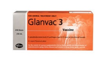 GLANVAC 3 250ML